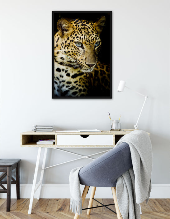 Leopard mit blauen Augen, Poster mit Bilderrahmen