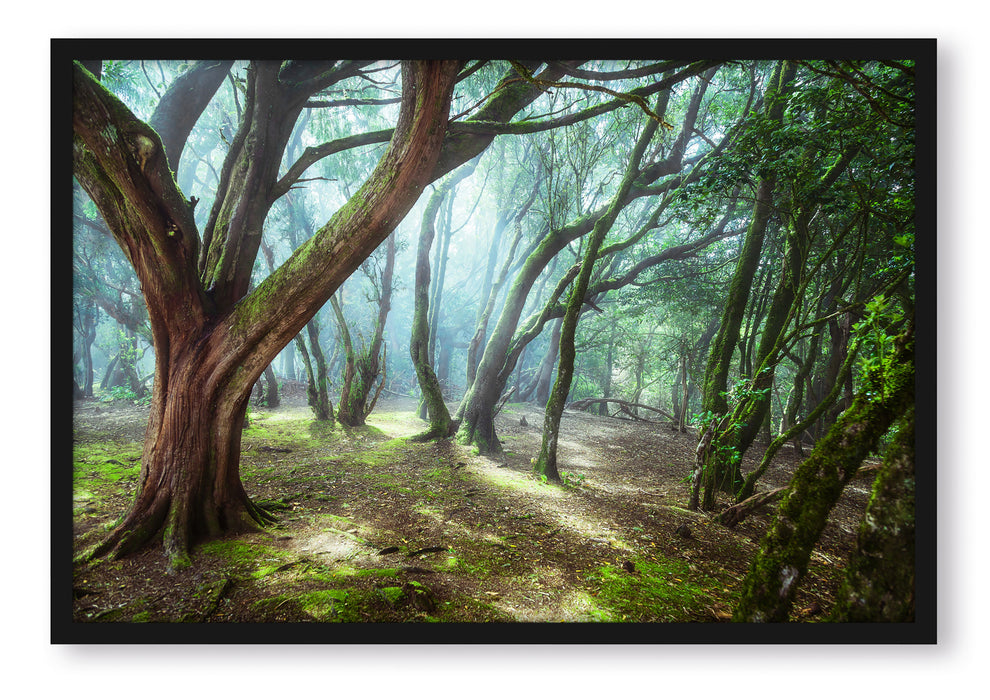 Pixxprint Wald, Poster mit Bilderrahmen