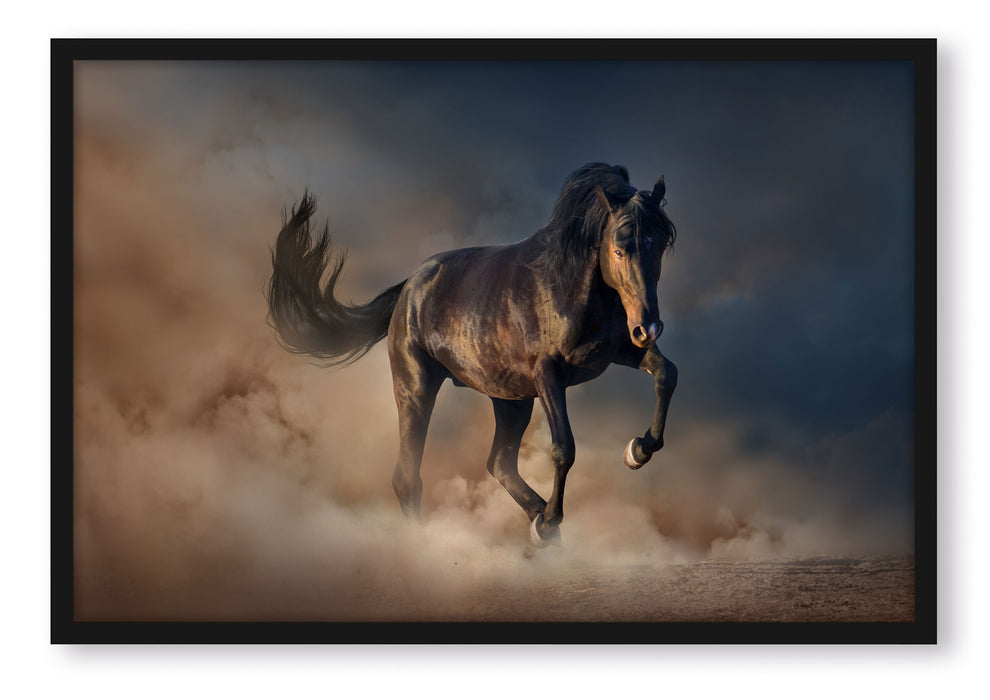 Schwarzes Pferd, Poster mit Bilderrahmen
