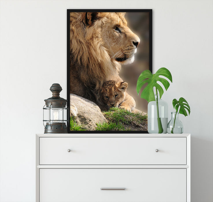 Löwe mit Löwenbaby, Poster mit Bilderrahmen