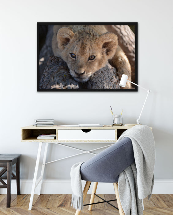 Süßes Löwenbaby, Poster mit Bilderrahmen