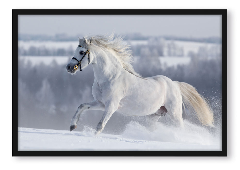 Pixxprint Weißes Pferd auf Schneewiese, Poster mit Bilderrahmen