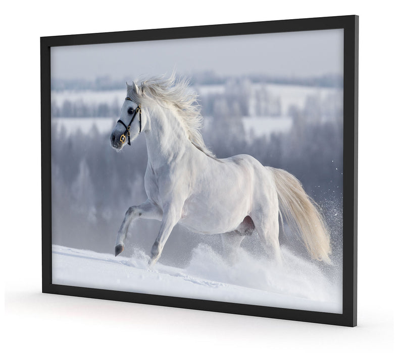 Weißes Pferd auf Schneewiese, Poster mit Bilderrahmen