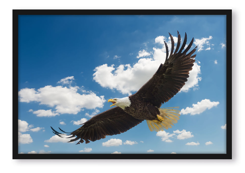 Pixxprint Adler fliegt über Berge, Poster mit Bilderrahmen
