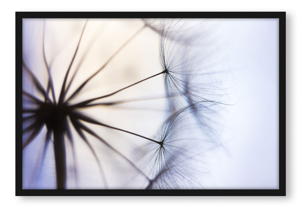 Pixxprint Weiße Pusteblumen, Poster mit Bilderrahmen