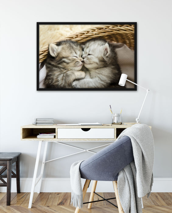 Baby Katze, Poster mit Bilderrahmen