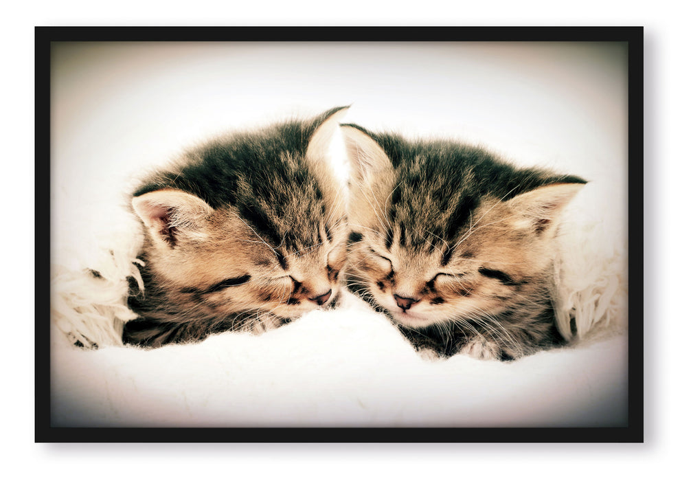 Pixxprint Katzen Herzform, Poster mit Bilderrahmen