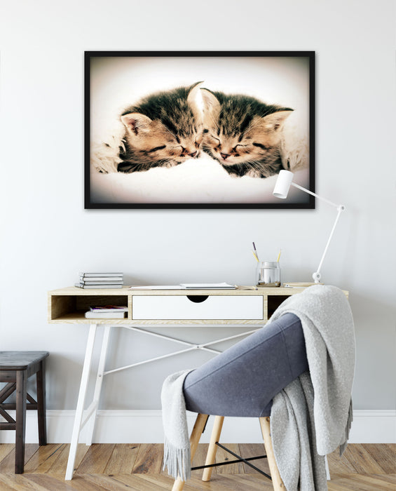 Katzen Herzform, Poster mit Bilderrahmen