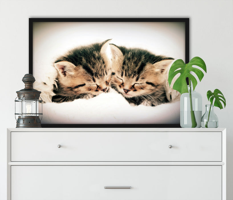 Katzen Herzform, Poster mit Bilderrahmen