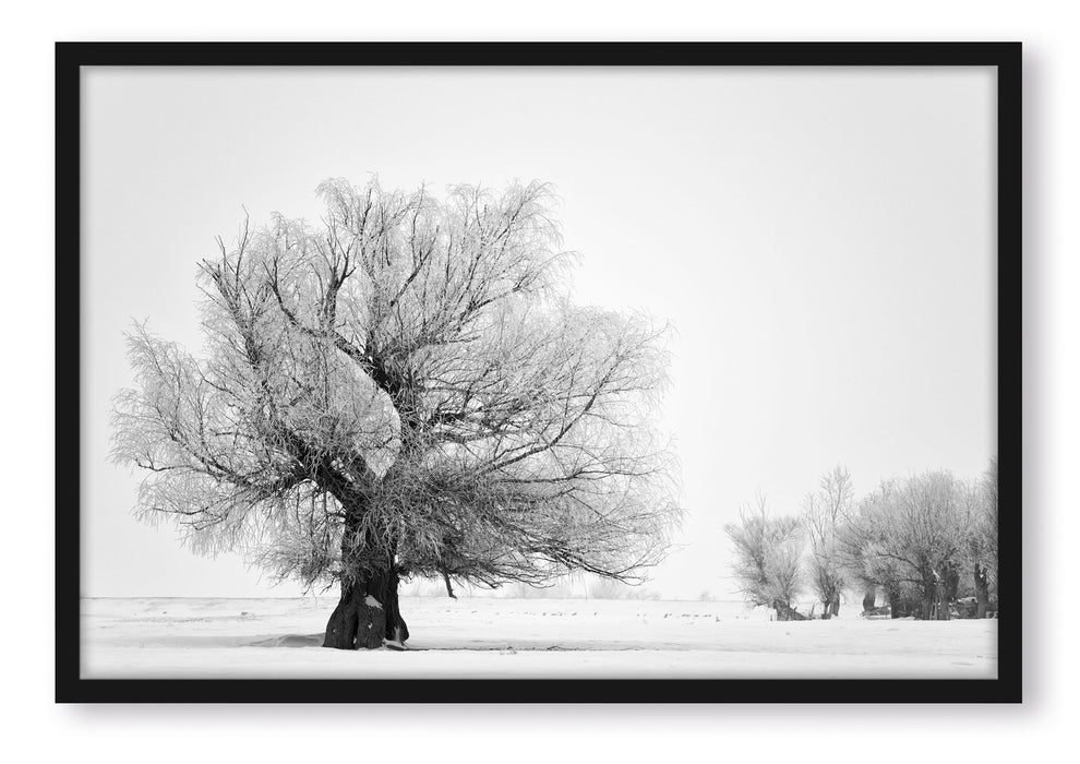 Pixxprint Bäume im Schnee Nebel, Poster mit Bilderrahmen