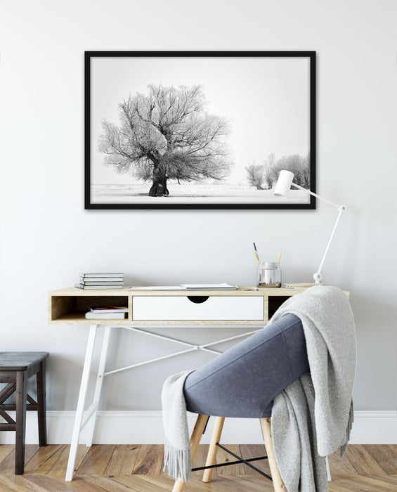 Bäume im Schnee Nebel, Poster mit Bilderrahmen