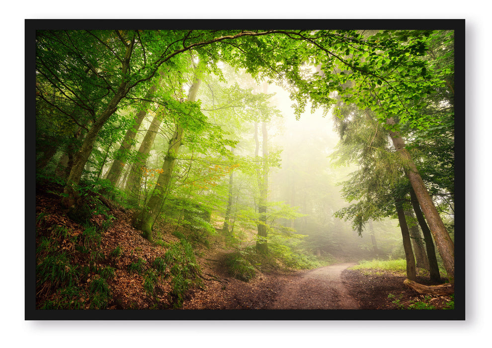 Pixxprint Sonnenstrahlen Waldweg, Poster mit Bilderrahmen