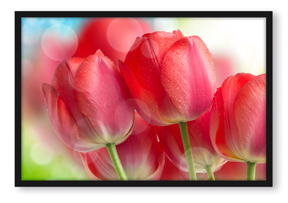 Rote Tulpen, Poster mit Bilderrahmen