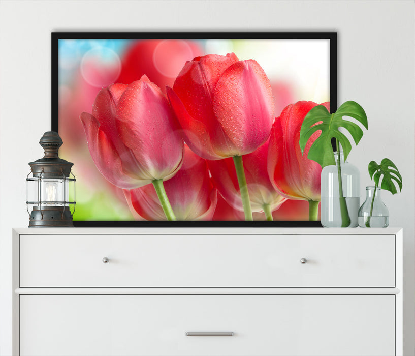 Rote Tulpen, Poster mit Bilderrahmen