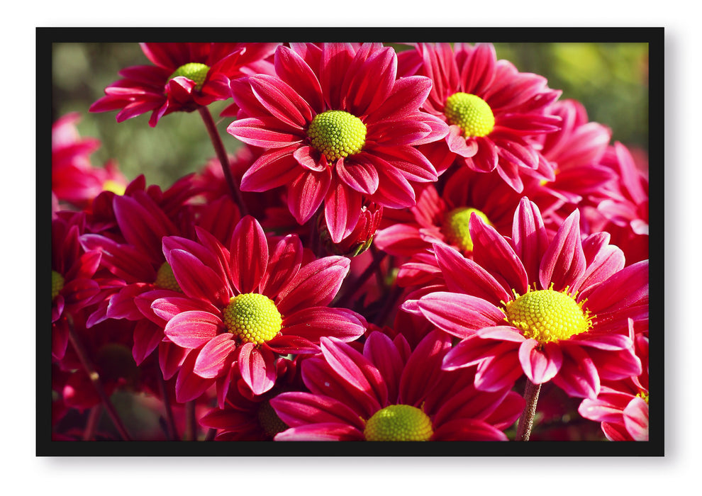 Pixxprint Rote Blüten, Poster mit Bilderrahmen