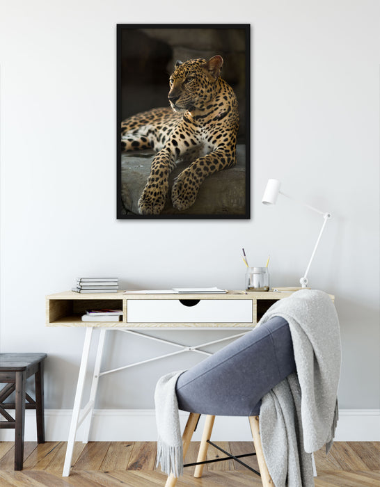 Majestätischer Leopard, Poster mit Bilderrahmen