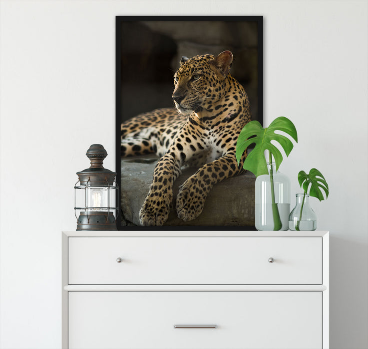 Majestätischer Leopard, Poster mit Bilderrahmen