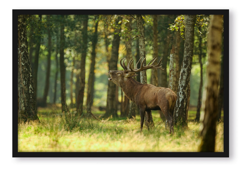 Pixxprint Hirsch im Wald, Poster mit Bilderrahmen