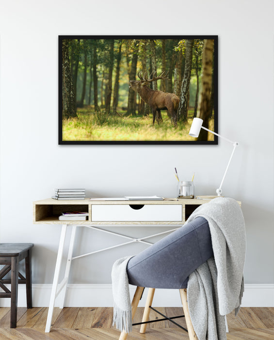 Hirsch im Wald, Poster mit Bilderrahmen