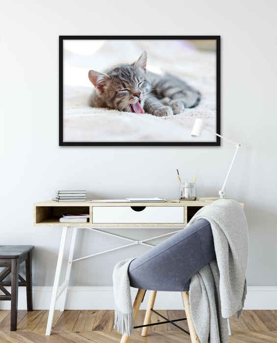 Kleines Kätzchen, Poster mit Bilderrahmen