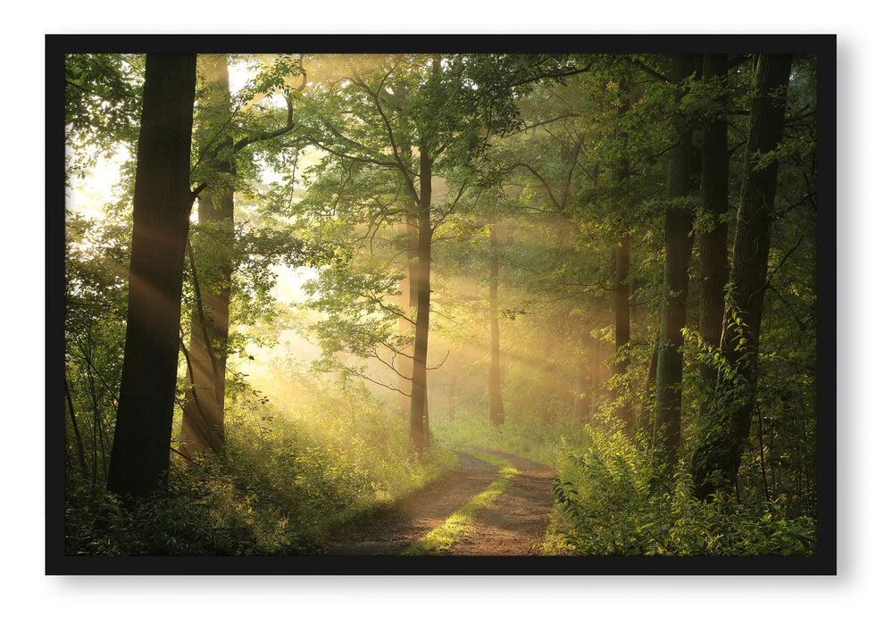 Pixxprint Waldweg, Poster mit Bilderrahmen