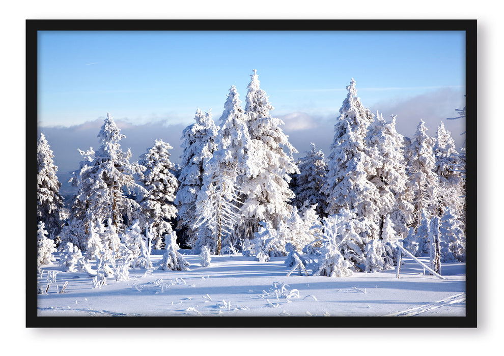 Pixxprint Winterwald, Poster mit Bilderrahmen