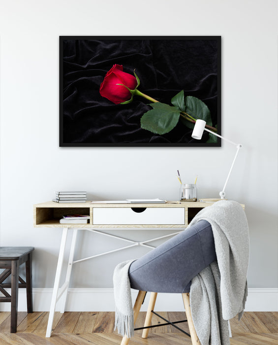 Rose, Poster mit Bilderrahmen