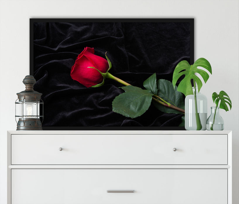 Rose, Poster mit Bilderrahmen