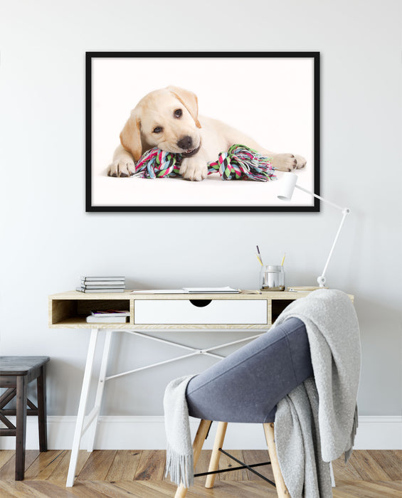 Hundewelpe, Poster mit Bilderrahmen