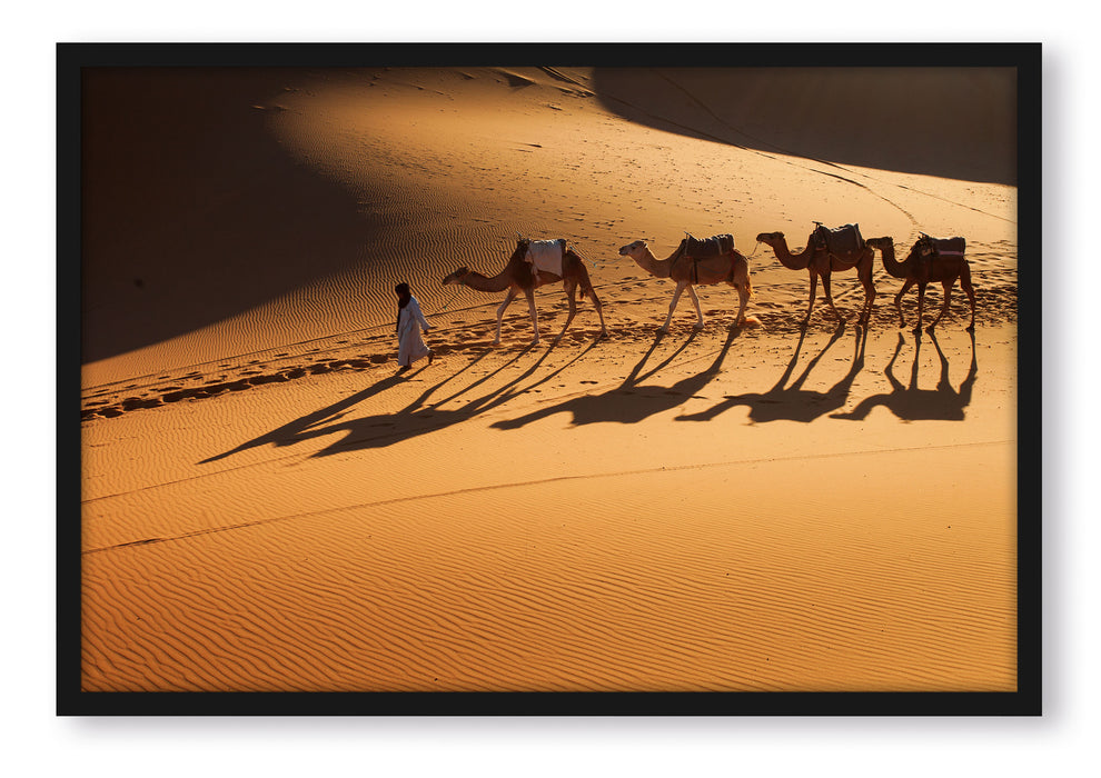 Kamelkarawane in der Wüste, Poster mit Bilderrahmen