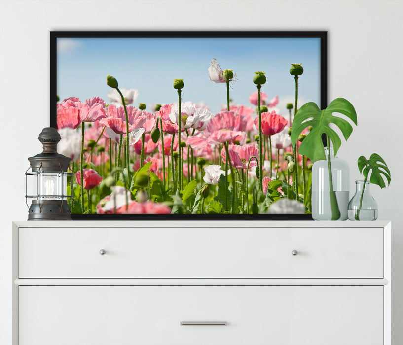 Blumenwiese Mohnblumen, Poster mit Bilderrahmen