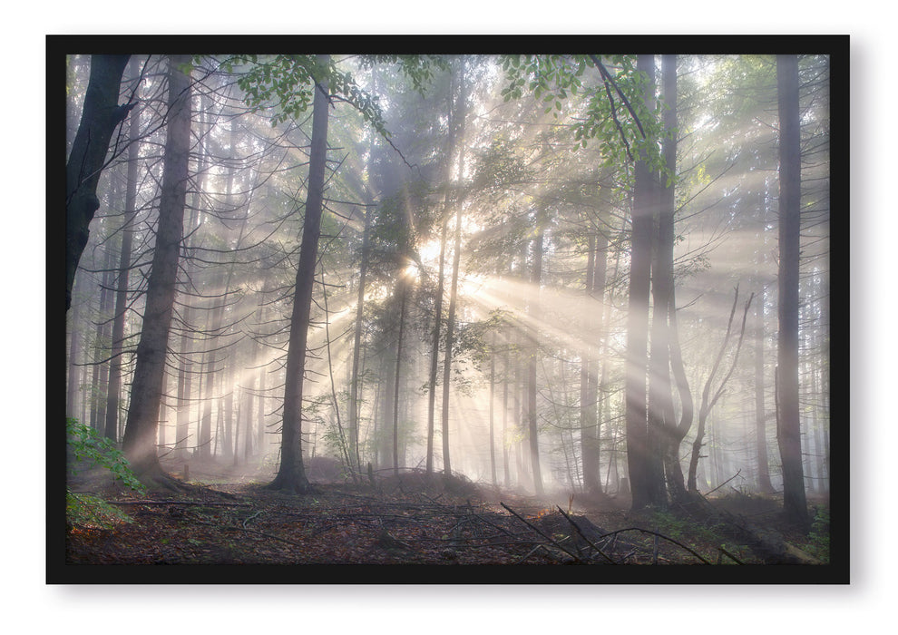 Pixxprint diesiger Waldweg, Poster mit Bilderrahmen