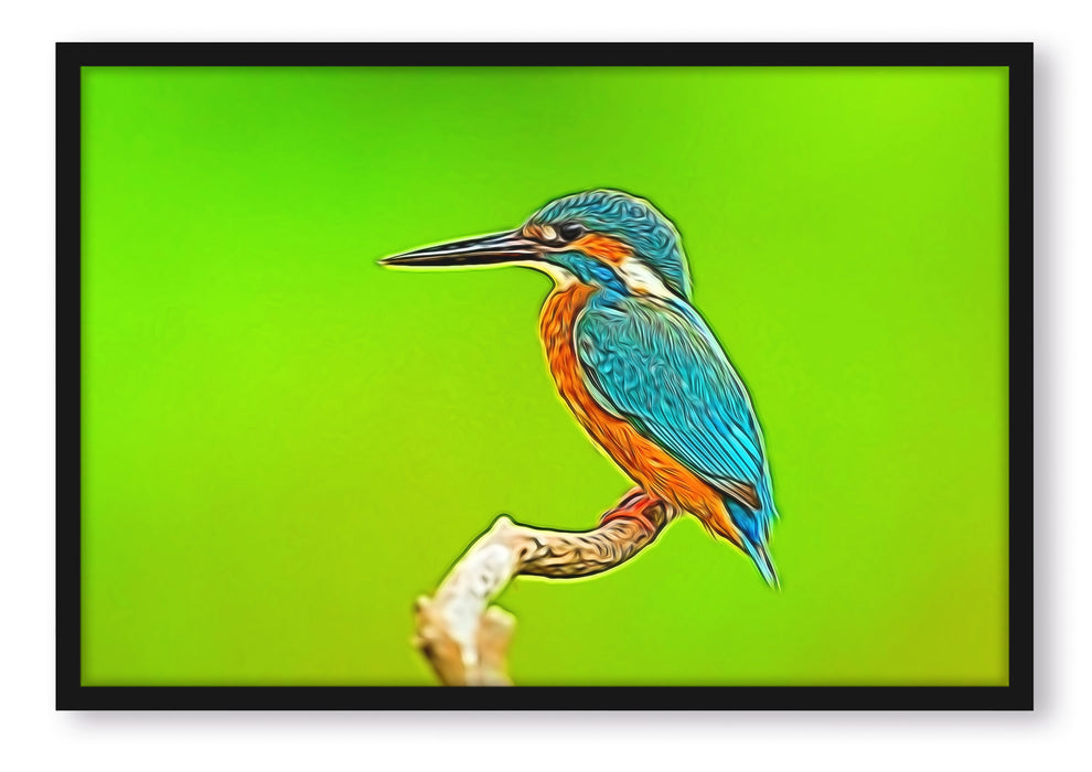 Pixxprint Eisvogel auf Ast, Poster mit Bilderrahmen