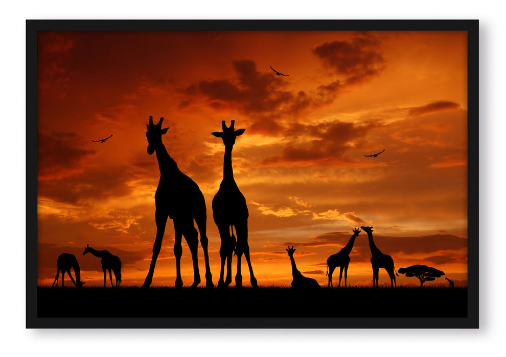 Pixxprint Afrika Giraffen im Sonnenuntergang, Poster mit Bilderrahmen