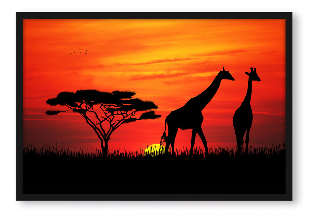 Pixxprint Afrika Giraffen im Sonnenuntergang, Poster mit Bilderrahmen