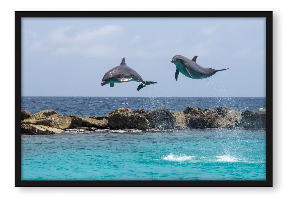 Pixxprint springende Delphine, Poster mit Bilderrahmen