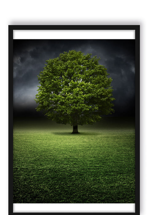 einzelner Baum auf grüner Wiese, Poster mit Bilderrahmen