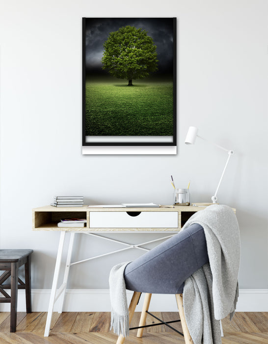 einzelner Baum auf grüner Wiese, Poster mit Bilderrahmen