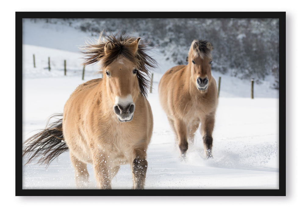 Pixxprint Pferd im Schnee, Poster mit Bilderrahmen