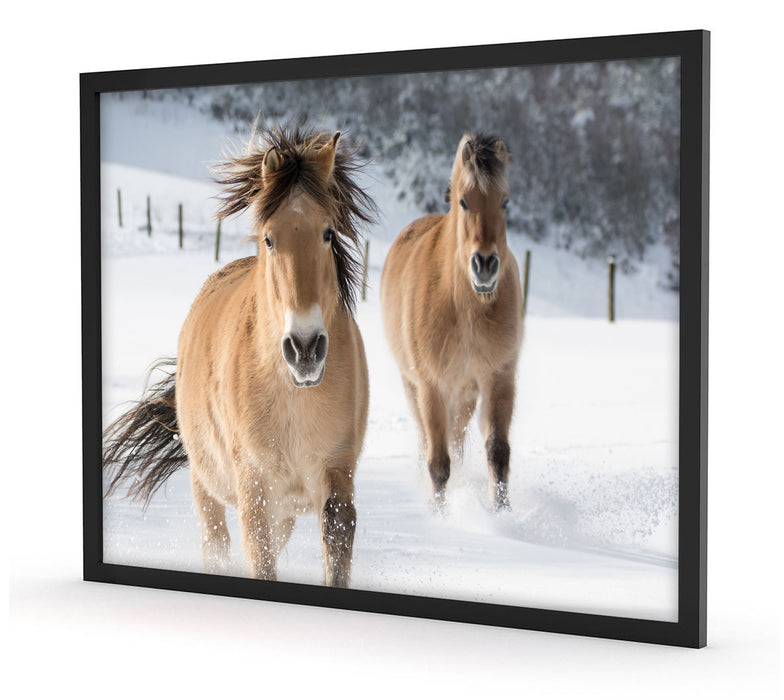 Pferd im Schnee, Poster mit Bilderrahmen