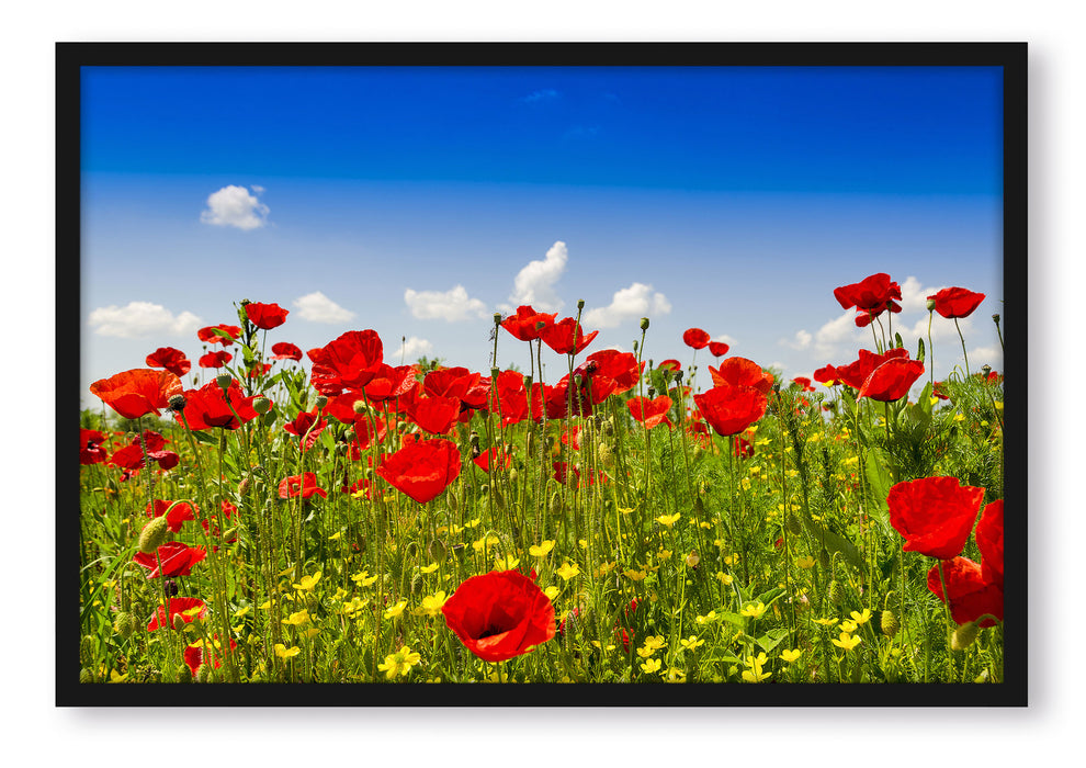 Pixxprint Mohnwiese, Poster mit Bilderrahmen