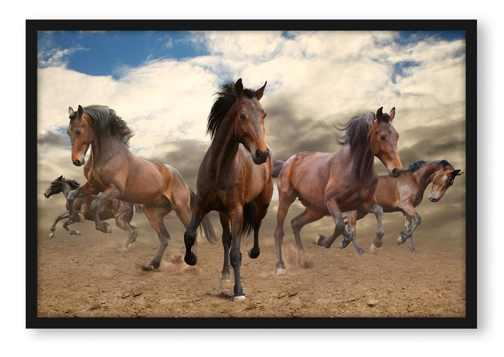 Western Pferde Cowboy, Poster mit Bilderrahmen