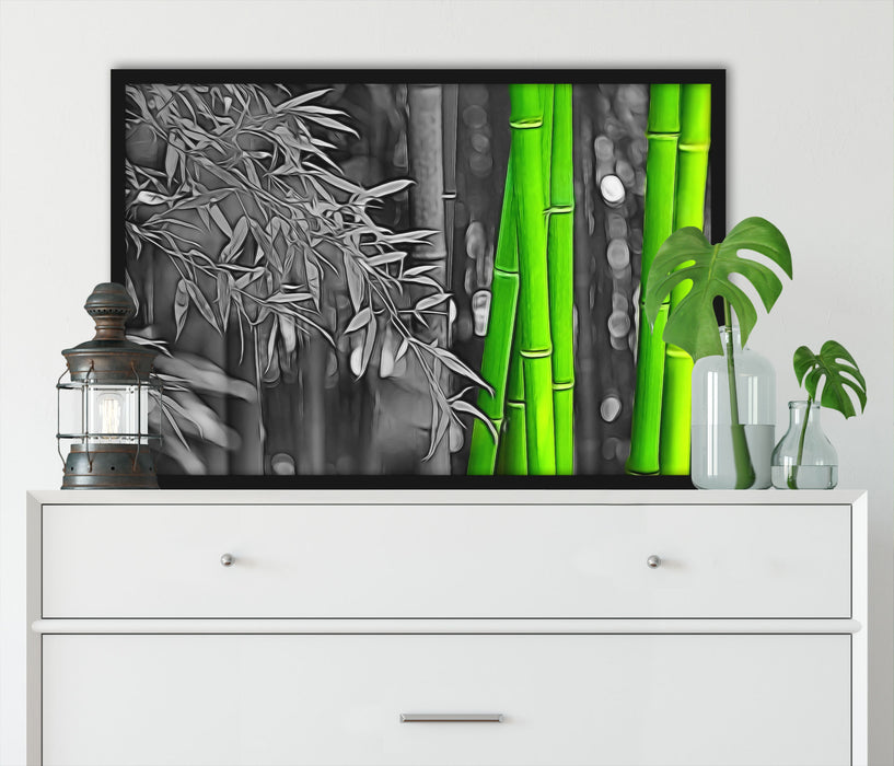 Bambus, Poster mit Bilderrahmen