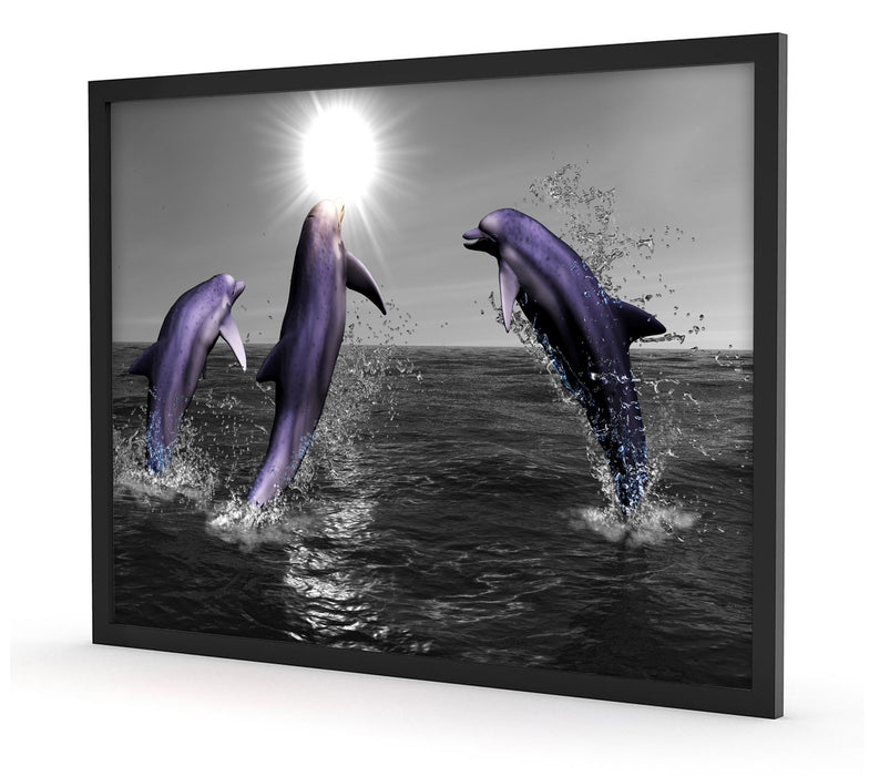 Fröhliche Delfine springen im Meer, Poster mit Bilderrahmen