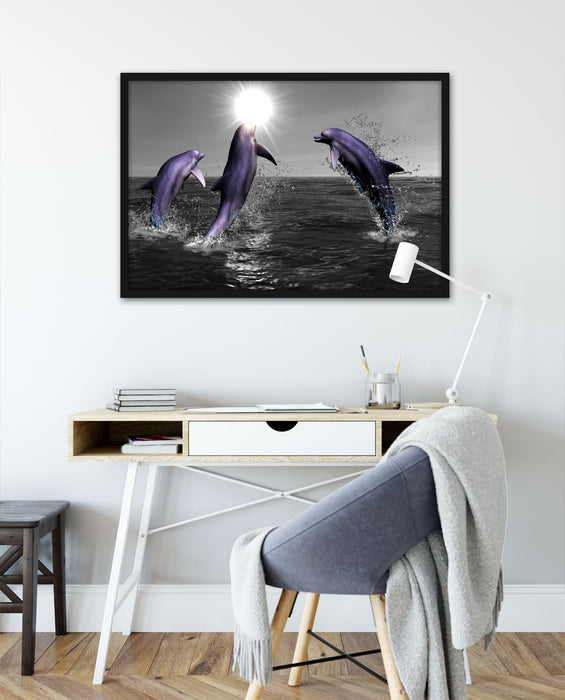 Fröhliche Delfine springen im Meer, Poster mit Bilderrahmen