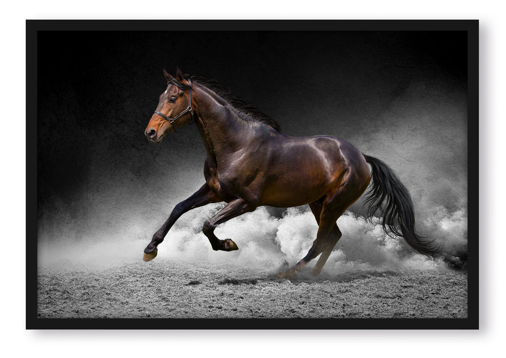Pixxprint prächtiger Hengst im Sand, Poster mit Bilderrahmen