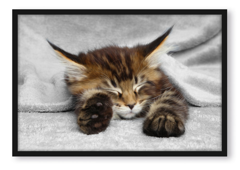 Pixxprint schlafende Katze mit großen Ohren, Poster mit Bilderrahmen