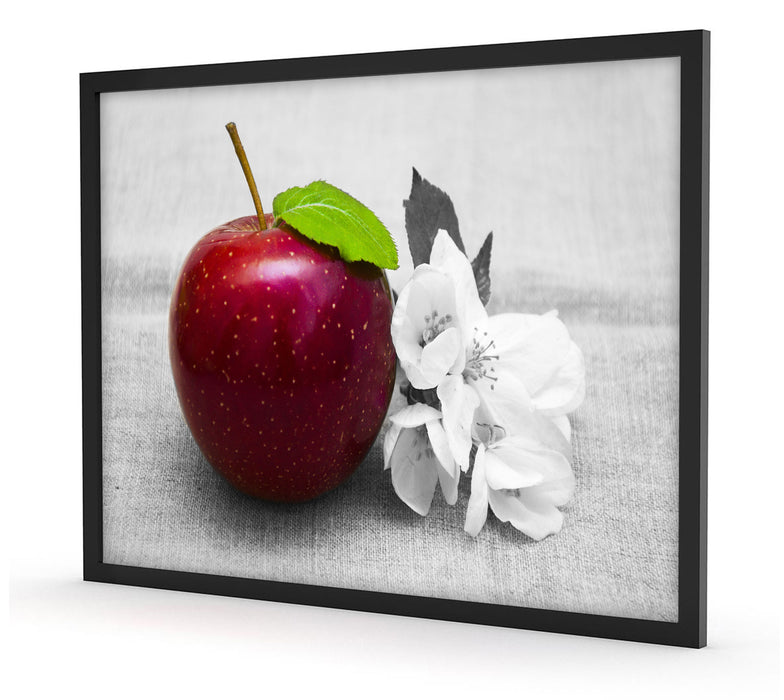 Schöner roter Apfel mit Blüten, Poster mit Bilderrahmen