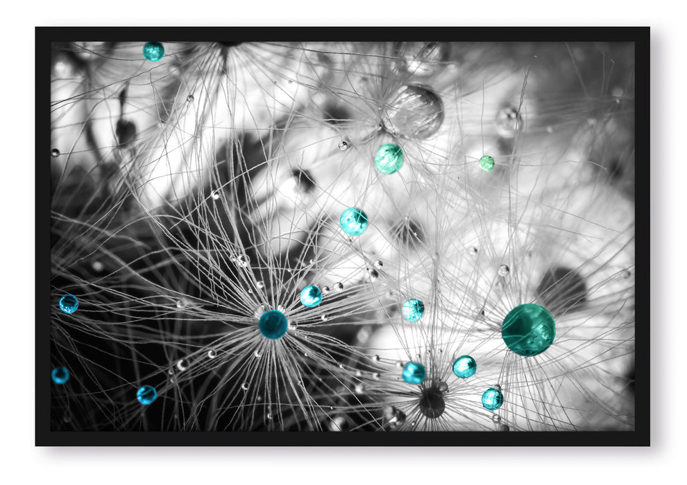 Pixxprint Wassertropfen auf Pusteblume, Poster mit Bilderrahmen