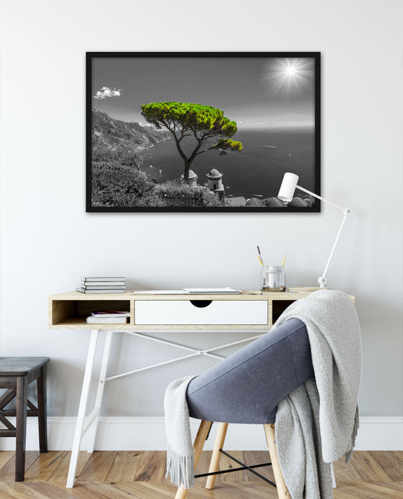 Baum am Mittelmeer, Poster mit Bilderrahmen